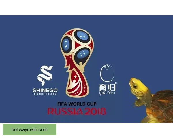 世界杯竞猜官网入口最新指南带你轻松掌握赛事预测技巧